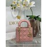 Celeste Lady Dior Bag