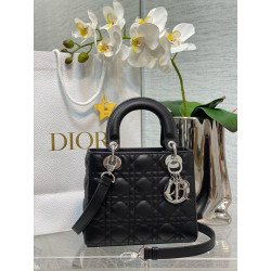 Celeste Lady Dior Bag