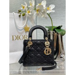 Celeste Lady Dior Bag