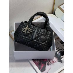 Dior Toujours Small Bag