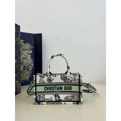 Christian Dior Book Tote Bag