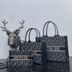 Christian Dior Book Tote Bag